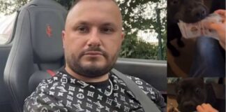 S’ndalet Dorian Puka, video duke “ushqyer” qentë me kartëmonedha paund, The Telegraph vijon të sfidojë qeverinë angleze