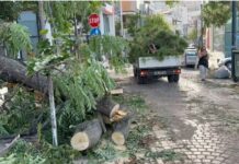 Situata pas stuhisë: Rikthehet normaliteti, institucionet në terren për menaxhimin e situatës