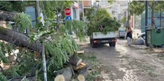 Situata pas stuhisë: Rikthehet normaliteti, institucionet në terren për menaxhimin e situatës