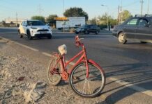 Aksident në aksin Lezhë–Milot, makina përplas biçikletën, plagoset rëndë 66-vjeçari