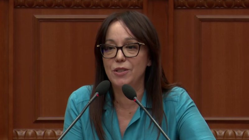  Sulmet ndaj bizneseve turistike  të dirigjuara   Spahiu në Kuvend  Mos e shani Shqipërinë në sytë e botës 