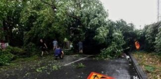 Stuhitë godasin Ballkanin, miliona euro dëme në bujqësi, mbi 100 automjete të dëmtuara në Shkup