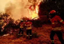 44 mijë persona evakuohen nga zjarret në Francë, aktivizohet operacioni i jashtëzakonshëm në Cap Ferret