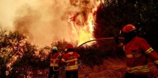 44 mijë persona evakuohen nga zjarret në Francë, aktivizohet operacioni i jashtëzakonshëm në Cap Ferret