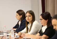 PD kërkoi deklaratë kundër minsitres serbe / Sara Mila përplaset me Haxhinaston “Pseudopatriotë, ju votuat kundër Shqipërisë në BE”