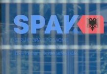 Ekzaltimi me idenë se ‘SPAK po tremb paranë’