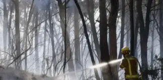 Dymbëdhjetë të vdekur nga zjarri i madh në një pyll në Spanjë, vala e të nxehtit ekstrem përfshin Evropën Jugore