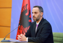 Shoferët shkelin rregullat, Lamallari i prerë: Rrugët nuk do t’ua lëmë në dorë kamikazëve*