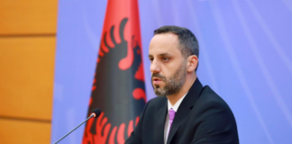 Shoferët shkelin rregullat, Lamallari i prerë: Rrugët nuk do t’ua lëmë në dorë kamikazëve*