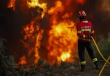 Zjarre të mëdha në Evropën Jugore, Franca, Spanja dhe Portugalia përfshihen nga flakët, mijëra hektarë të djegur