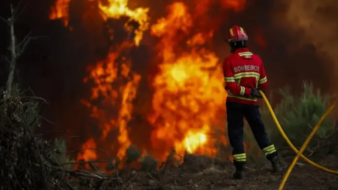 wildfire_portugal_sd