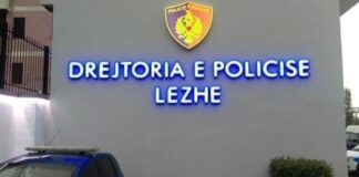 ‘E ndoqi me ‘Audi’ dhe hapi zjarr’, detaje të reja nga sulmi me armë ndaj 30-vjeçarit në Milot, dyshohet për një konflikt familjar