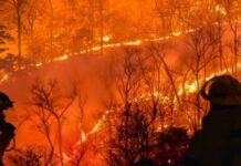 Mbi 20 mijë të evakuuar, Kanadaja shpall gjendjen e jashtëzakonshme nga zjarret masive, mbi 100 vatra aktive