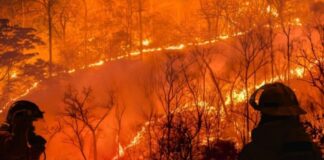 Mbi 20 mijë të evakuuar, Kanadaja shpall gjendjen e jashtëzakonshme nga zjarret masive, mbi 100 vatra aktive