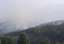 Zjarret në Daias nën kontroll, zjarrfikësit dhe helikopteri vijojnë ndërhyrjen