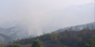 Zjarret në Daias nën kontroll, zjarrfikësit dhe helikopteri vijojnë ndërhyrjen