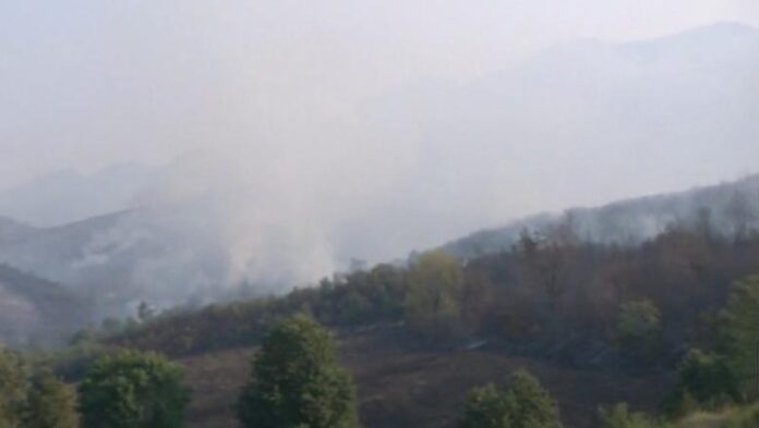 1786601714_tirane