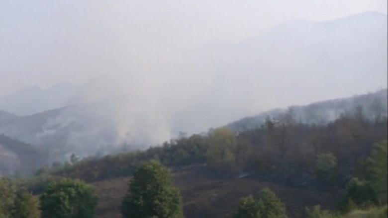 Zjarret në Daias nën kontroll  zjarrfikësit dhe helikopteri vijojnë ndërhyrjen