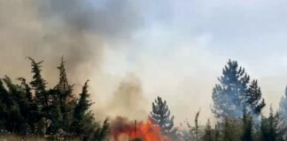 Zjarret në vend, 5 vatra ende aktive! Riaktivizohen 3 vatra në malin e Dajtit, flakë edhe Dibër