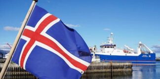 Islanda i thotë ‘Jo’ Europës, dështon referendumi për rifillimin e negociatave për anëtarësim në BE