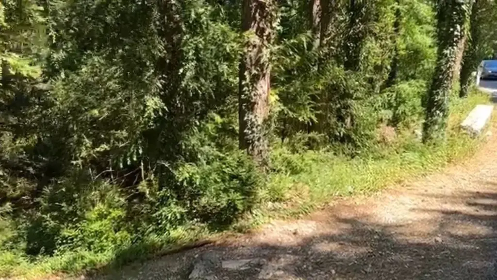 Turistët gjermanë lëshojnë sinjal SOS nga mali i Çikës  nisin kërkimet nga terreni dhe ajri  Rasti i 5 në vetëm 2 muaj