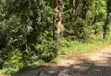 Turistët gjermanë lëshojnë sinjal SOS nga mali i Çikës, nisin kërkimet nga terreni dhe ajri. Rasti i 5 në vetëm 2 muaj