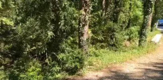Turistët gjermanë lëshojnë sinjal SOS nga mali i Çikës, nisin kërkimet nga terreni dhe ajri. Rasti i 5 në vetëm 2 muaj