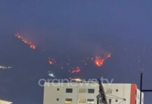 Rëndohet situata e zjarreve në Priskën e Madhe, era favorizon përhapjen e flakëve