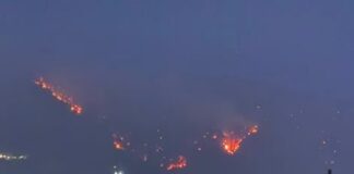 Rëndohet situata e zjarreve në Priskën e Madhe, era favorizon përhapjen e flakëve