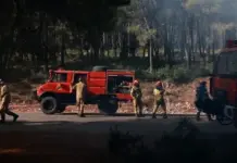 Agjencia e klimës e BE: Zjarri ka djegur mbi 10 mijë hektarë në Athinën perëndimore