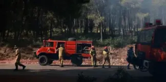 Agjencia e klimës e BE: Zjarri ka djegur mbi 10 mijë hektarë në Athinën perëndimore
