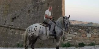 “Nafta është bërë shumë e shtrenjtë, shkoj në punë me kalë”, kopshtari italian gjen “zgjidhjen” kundër krizës