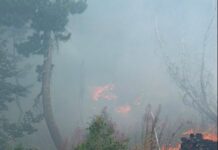Dy vatra zjarri në Dibër, flakët janë përhapur që prej mëngjesit në Selishtë. Përfshihet dhe sipërfaqja pranë Bulqizës