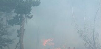 Dy vatra zjarri në Dibër, flakët janë përhapur që prej mëngjesit në Selishtë. Përfshihet dhe sipërfaqja pranë Bulqizës