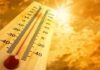 HARTAT E KUQE/ IGJEO: Rrezik i lartë për zjarre në nëntë qarqe, temperaturat arrijnë deri në 41° C*