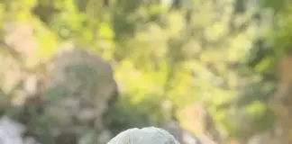 Një udhëtim nëpër lumin Acheron