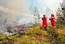 Situata me zjarret në Shqipëri/ Ende 13 vatra aktive, këto janë zonat më problematike, ndërhyrja bëhet nga toka dhe ajri