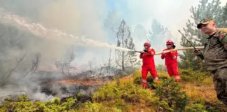 Situata me zjarret në Shqipëri/ Ende 13 vatra aktive, këto janë zonat më problematike, ndërhyrja bëhet nga toka dhe ajri