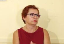 “Ethet e Nilit” në Korçë, a duhet të kemi frikë? – ISHP: Virusi nuk transmetohet nga njeriu tek njeriu, por vetëm nga mushkonjat