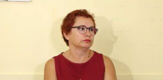 “Ethet e Nilit” në Korçë, a duhet të kemi frikë? – ISHP: Virusi nuk transmetohet nga njeriu tek njeriu, por vetëm nga mushkonjat