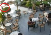 Atentati i dështuar në Elbasan, autori rrëfen motivin: E bëra për t’u hakmarrë për vëllain tim
