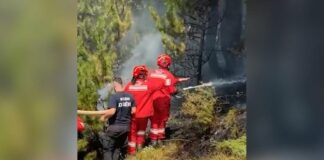 Zjarret në Lurë e Dajt, 100 efektivë të Forcave të Armatosura të angazhuar në terren, Nufi: Mirënjohje për guximin dhe përkushtimin!