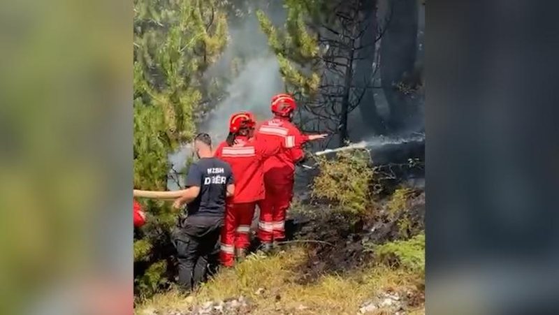 Zjarret në Lurë e Dajt  100 efektivë të Forcave të Armatosura të angazhuar në terren  Nufi  Mirënjohje për guximin dhe përkushtimin 