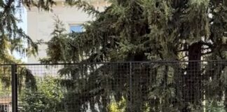 Ministri belg i Mbrojtjes zgjedh Shqipërinë për pushimet verore