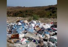 Ankesa nga shqiptari i diasporës, Balla sulmon Bashkinë Kavajë për pastrimin: Nuk merren me hallet e qytetit