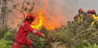 I nxehti përvëlues, IGJEO jep alarmin: Ja 8 qarqet më të rrezikuara në fundjavë dhe harta e zjarreve!