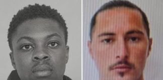Vrasja e turistit portugez, policia në kërkim të shqiptaro-amerikanit që nisi sherrin dhe pronarit të hotelit
