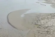 Niveli i Danubit vazhdon të bjerë, kufizimet e lundrimit mbeten në fuqi