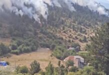 Nis evidentimi i dëmeve nga zjarret, në Pukë po vlerësohen dëmet në pyje, banesa dhe rrjetin ujitës