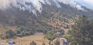 Nis evidentimi i dëmeve nga zjarret, në Pukë po vlerësohen dëmet në pyje, banesa dhe rrjetin ujitës